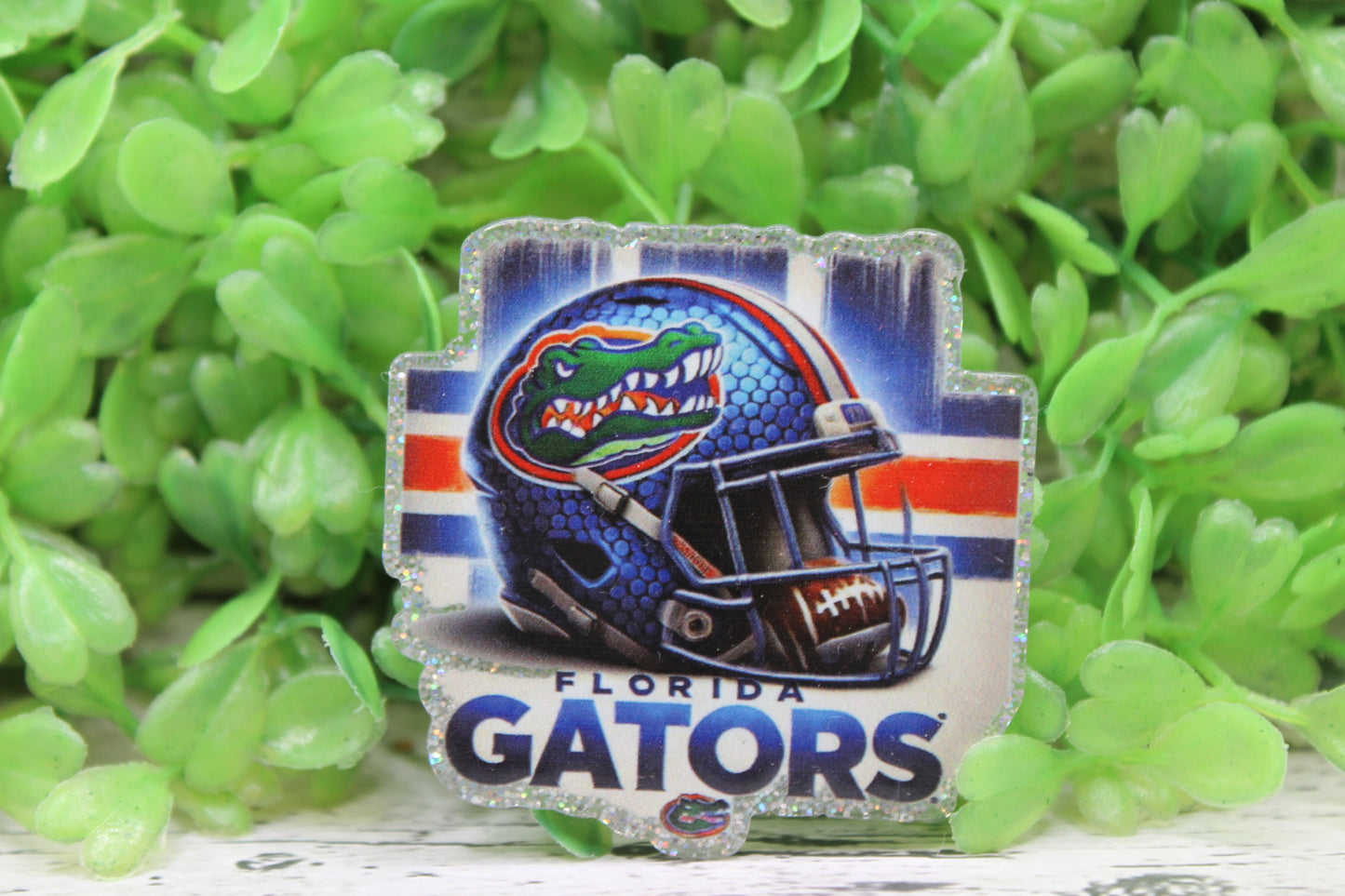 Florida Gators Football Helmet Badge Reel