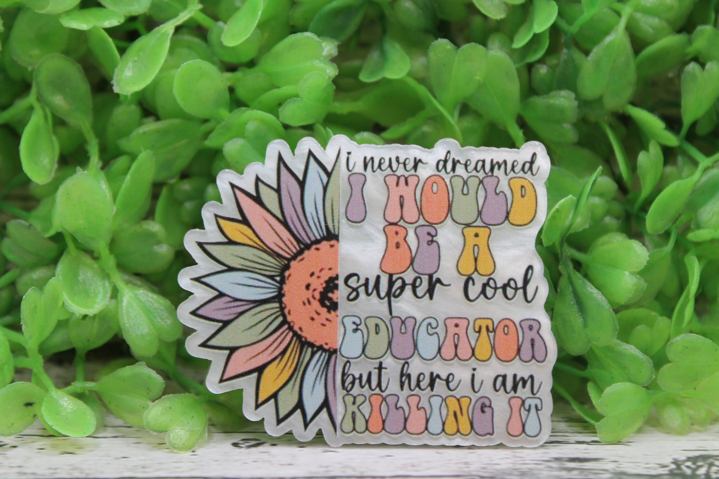 Super Cool Educator Badge Reel