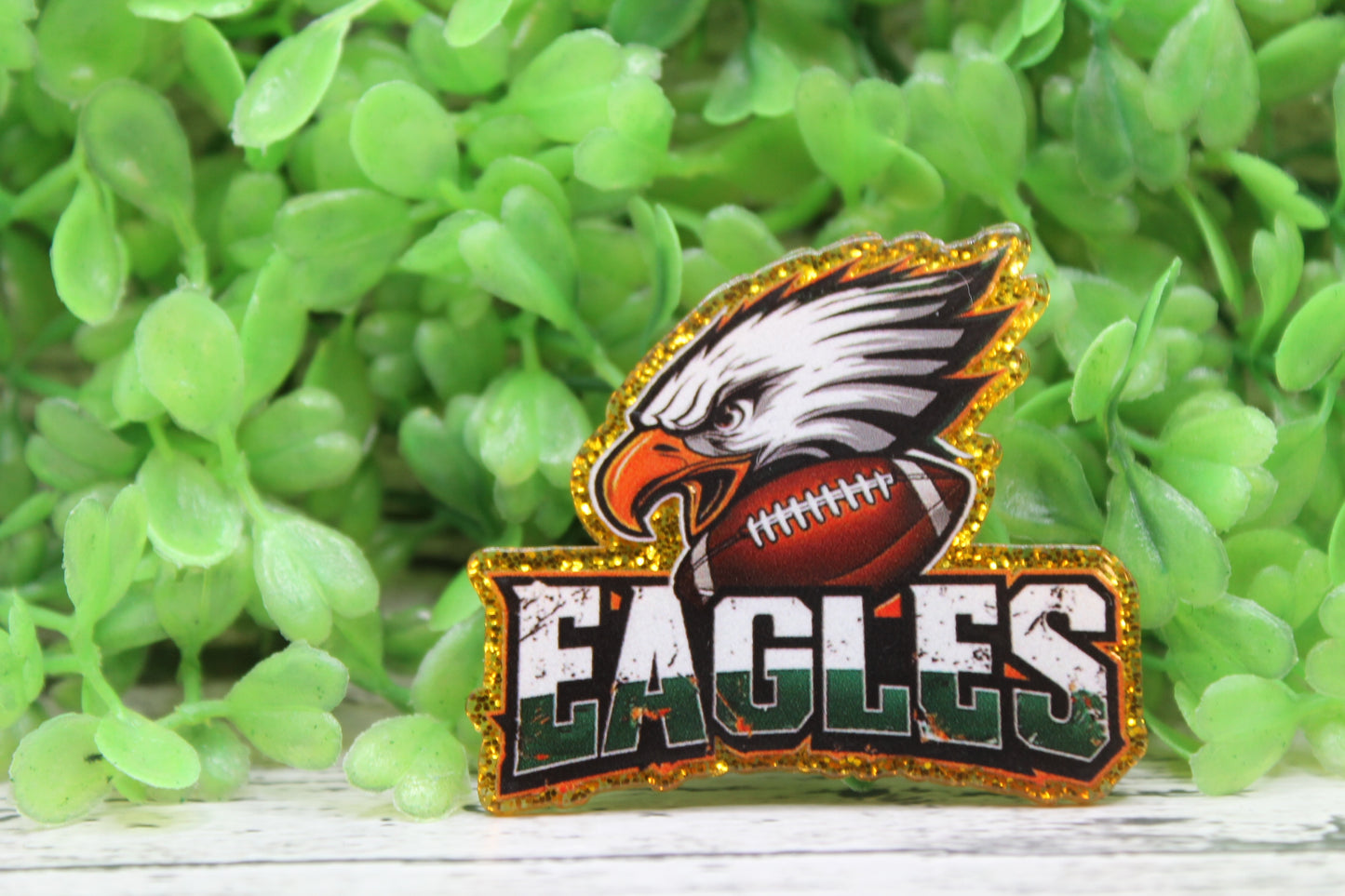 Eagles Football Badge Reel
