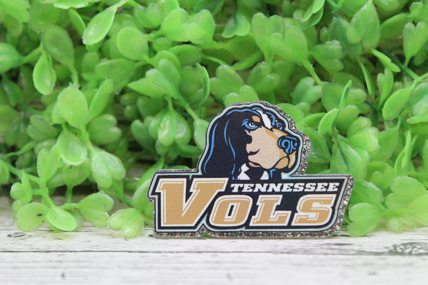 VOLS Football Badge Reel
