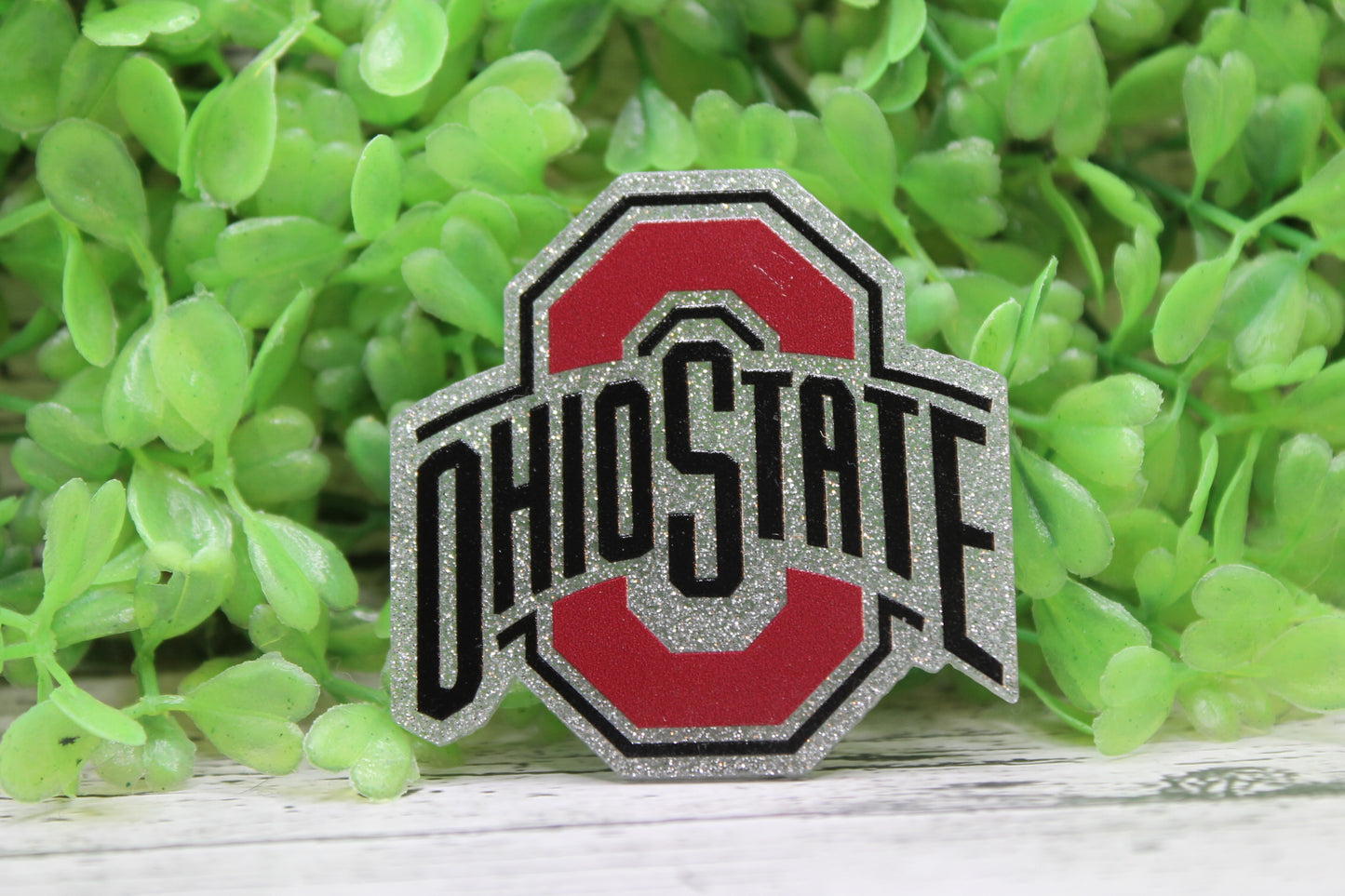 Ohio State Badge Reel