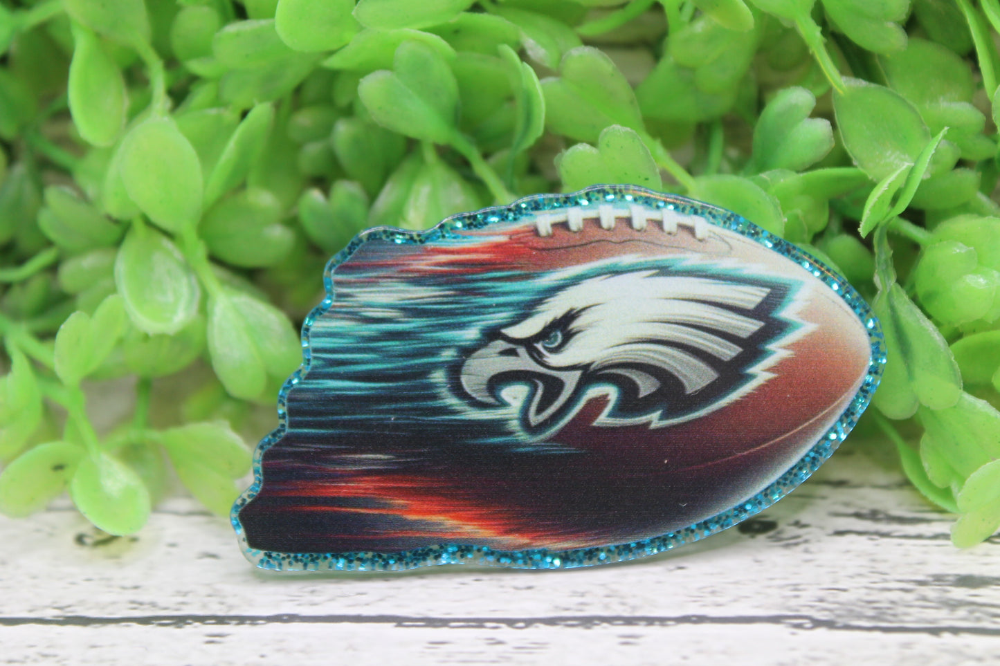 Eagles Football Badge Reel