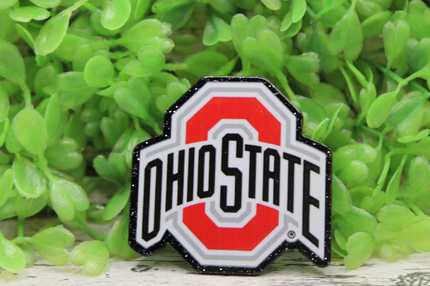 Ohio State Badge Reel