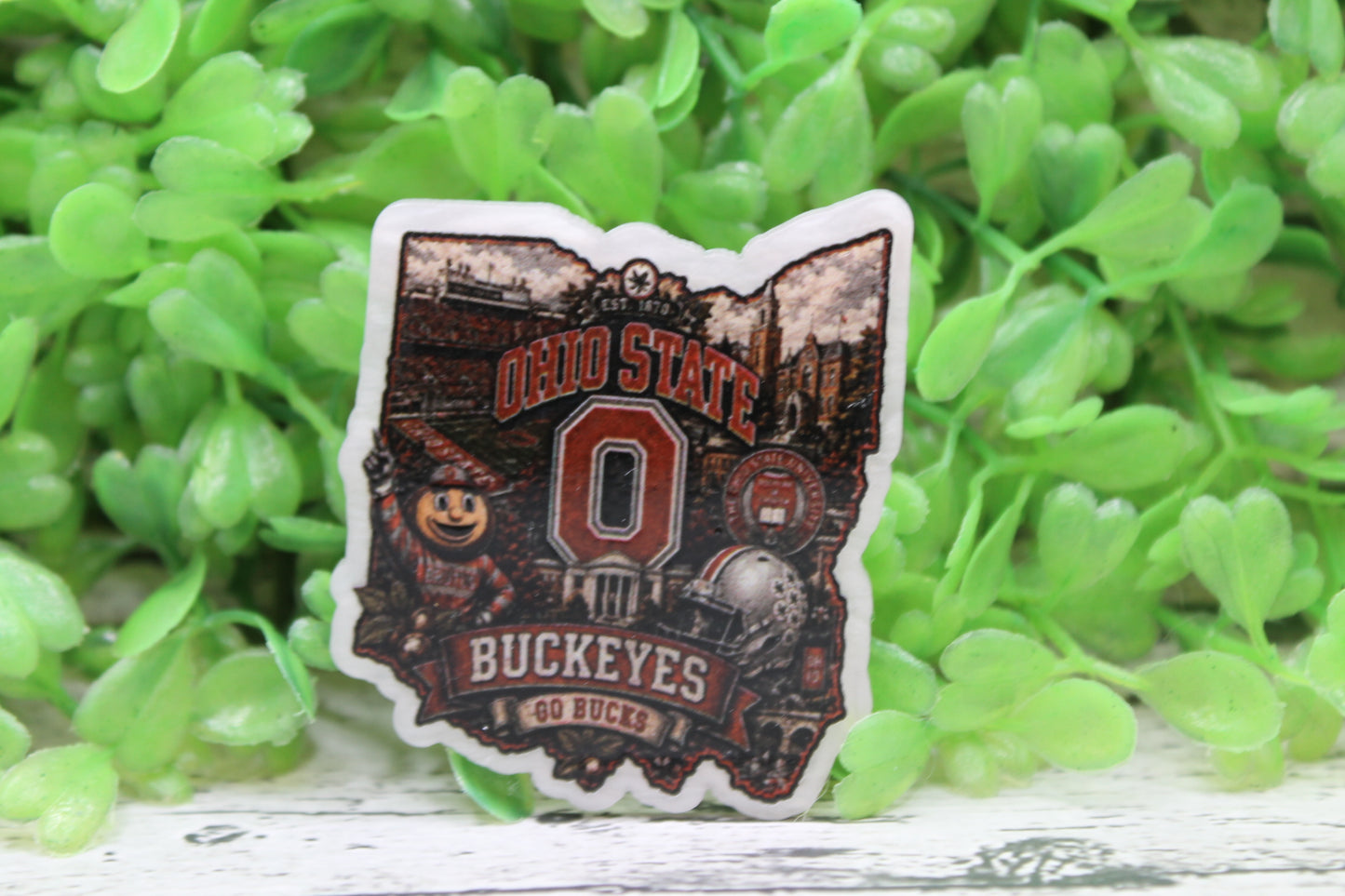 Ohio State Go Bucks Badge Reel