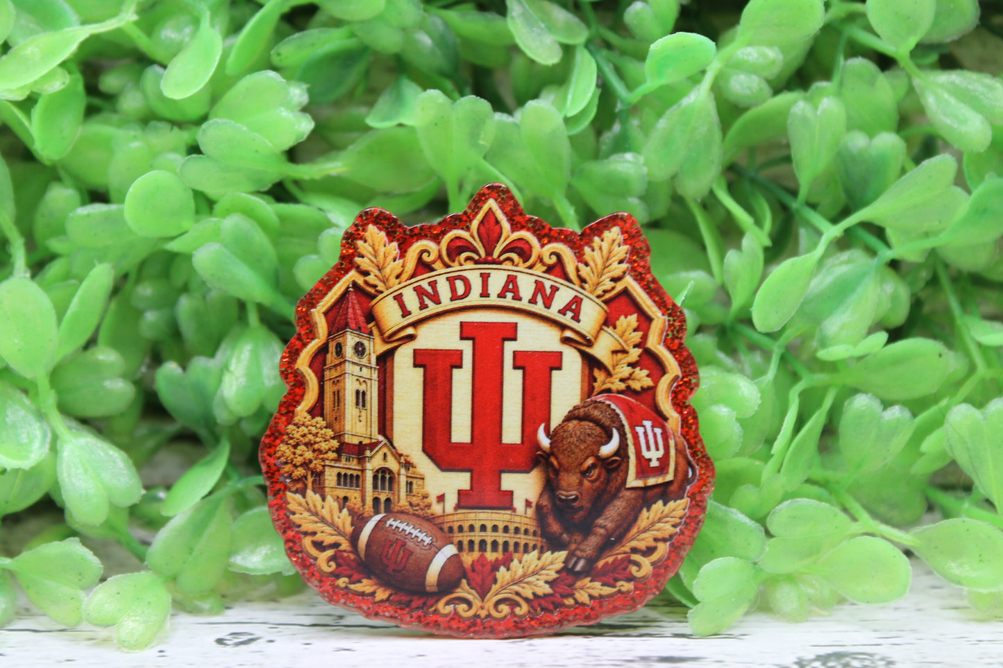 Indiana Hoosiers Football Badge Reel