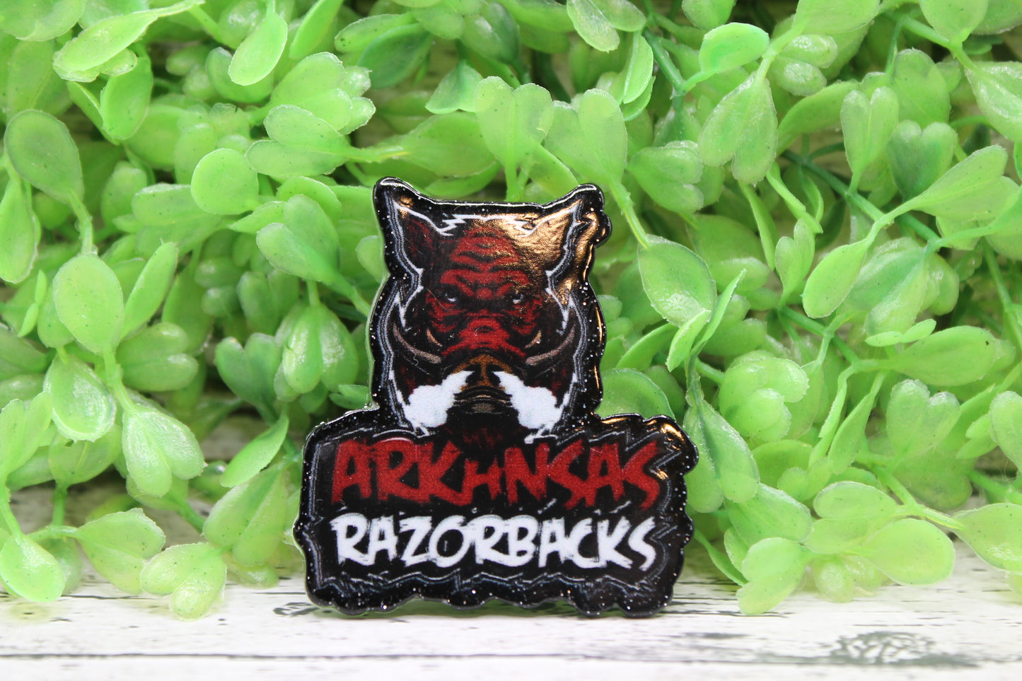 Arkansas Razorbacks Badge Reel