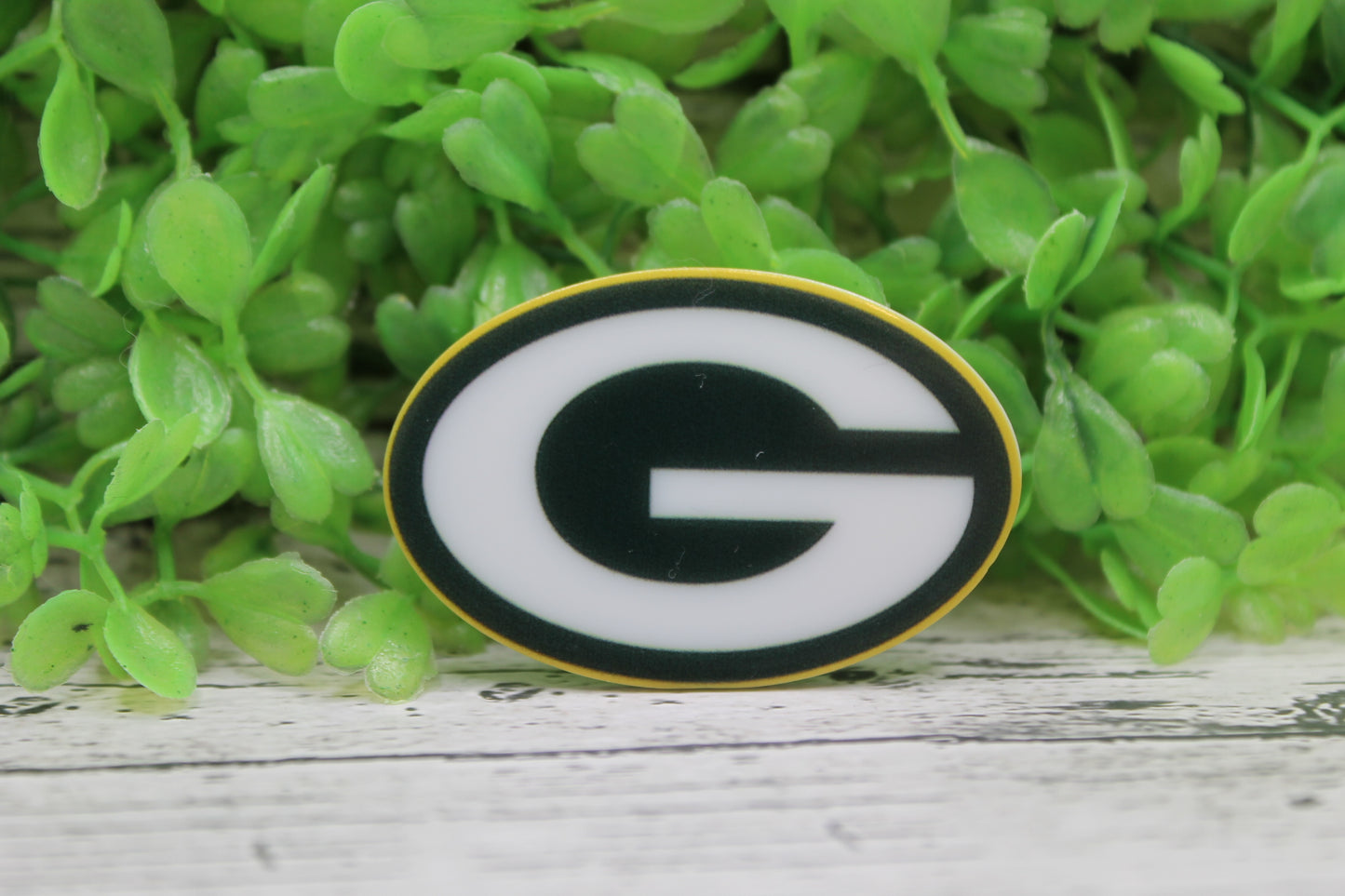 Green Bay Packers Badge Reel