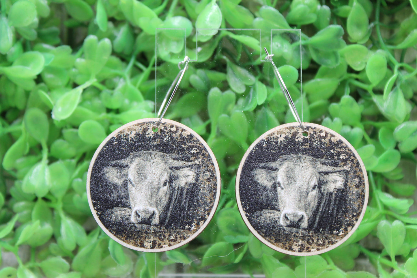 Black & White Cow Dangle Earrings