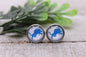 Lions Football || 12mm Glass Stud Earrings || Hypoallergenic