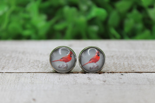 Red Cardinal on Stump Glass Stud Earrings