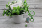 Cactus and Sunflower Silicone Beaded Keychain