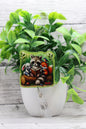 Forest Animals Badge Reel