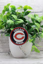 Chicago Bears Circle Badge Reel