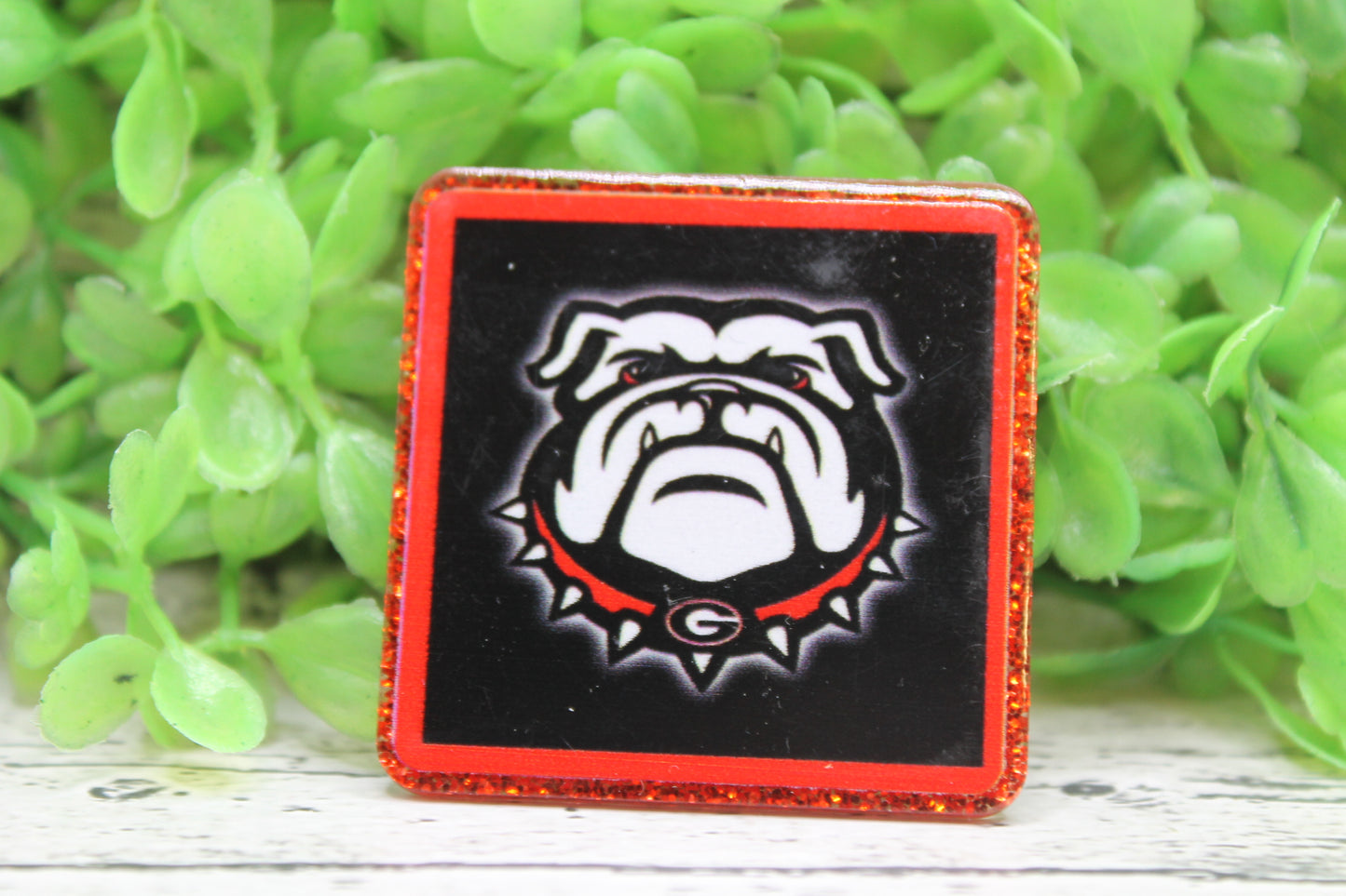 Georgia Bulldogs Football Badge Reel