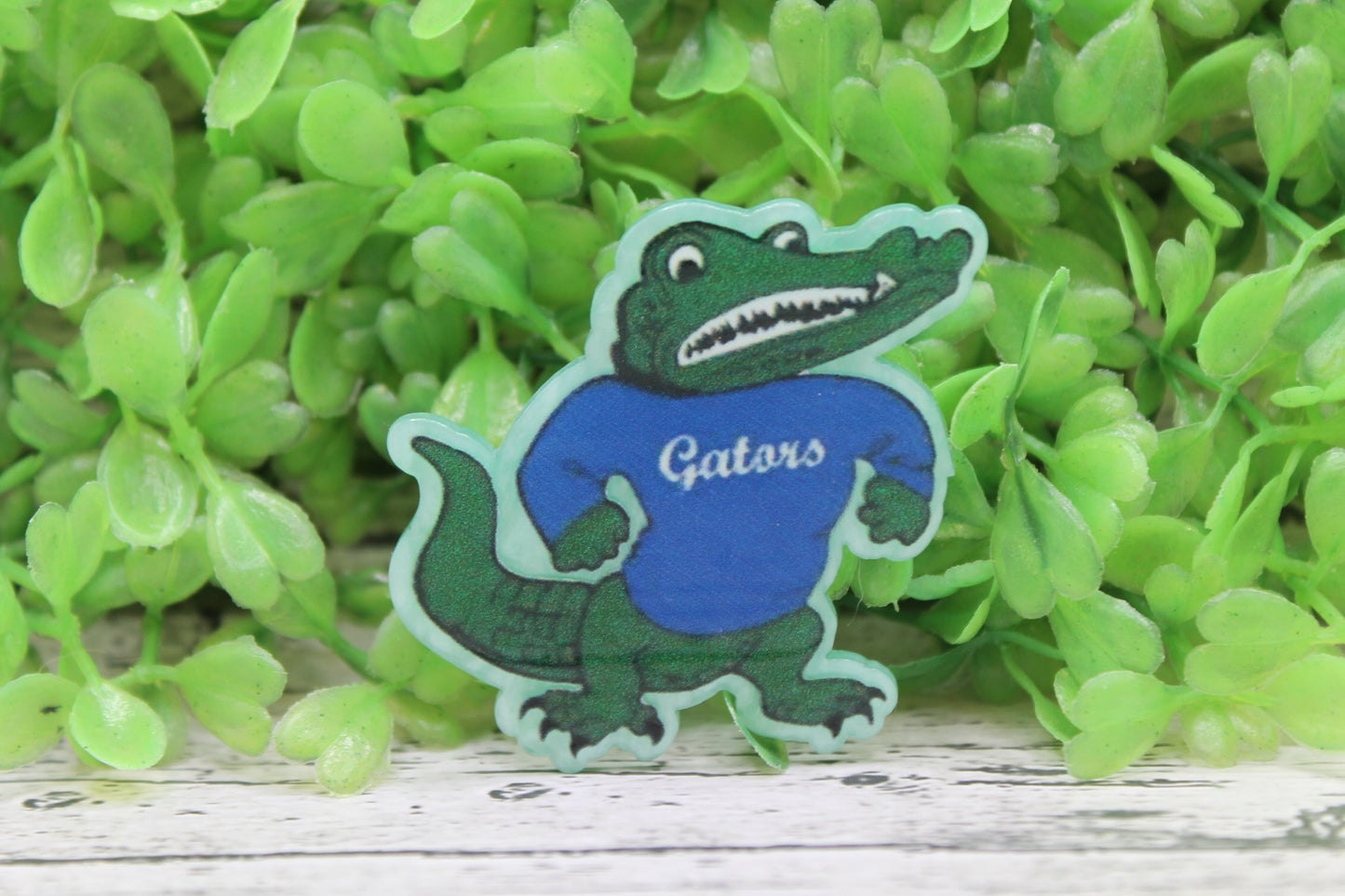 Florida Gators Badge Reel