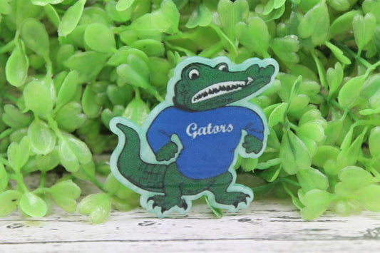 Florida Gators Badge Reel