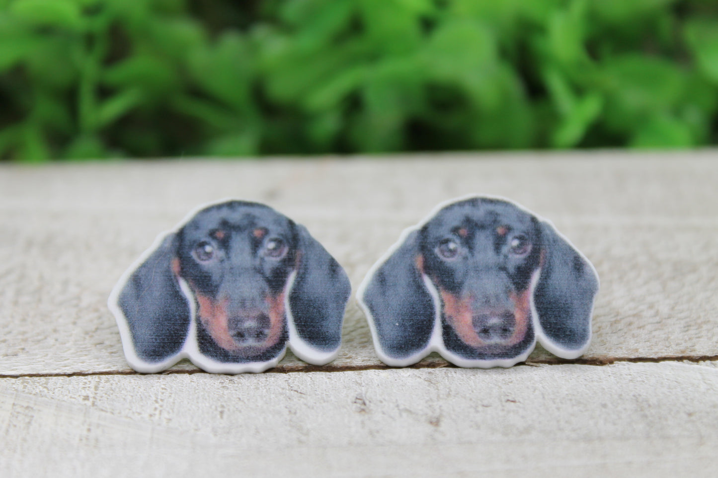 Dachshund || 20mm Stud Earrings || Hypoallergenic