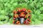 Highland Cow in Tulips Badge Reel