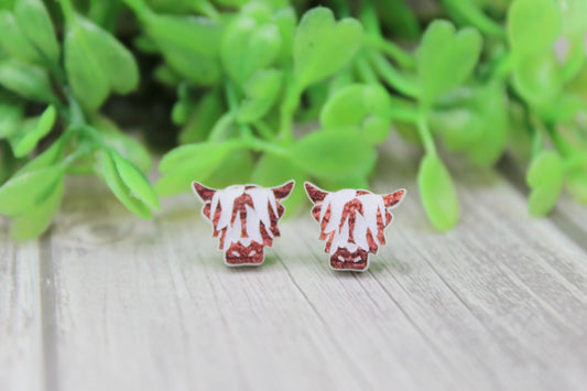 Highland Cows Stud Earrings