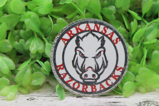 Razorbacks Circle Badge Reel