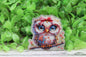Cute Owl with Glasses Badge Reel9