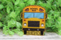 School Bus Badge Reel