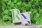 RN - Registered Nurse Green & Purple Badge Reel