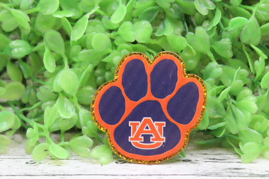 Auburn University Football Badge Reel