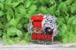Home Sweet Home Georgia Football Badge Reel