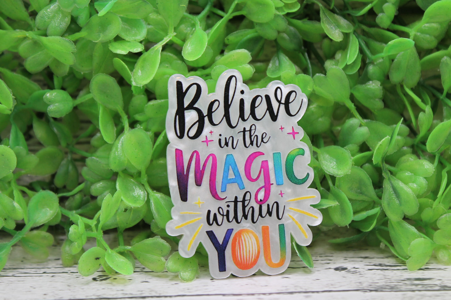 Believe in the Magic Badge Reel