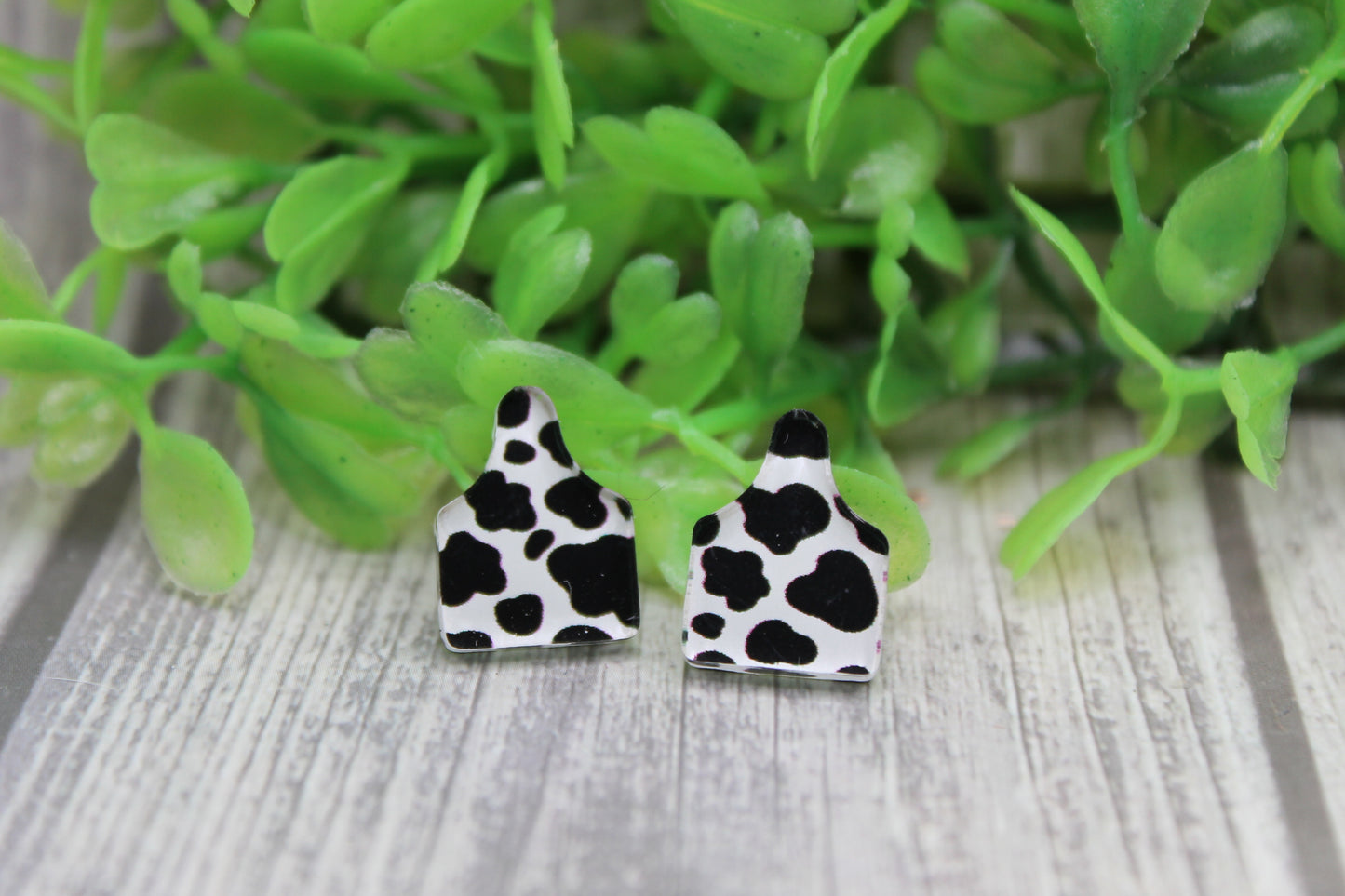 Cow Print Cow Tag Stud Earrings