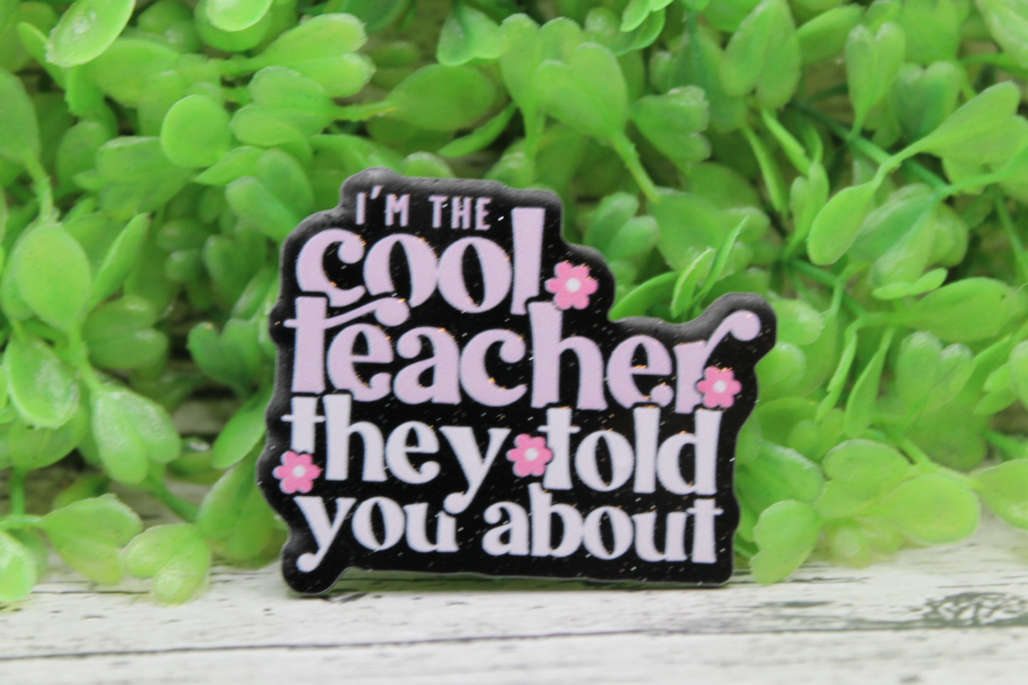 I'm The Cool Teacher Badge Reel