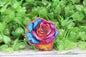 Colorful Rose Badge Reel