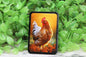 Chicken Badge Reel