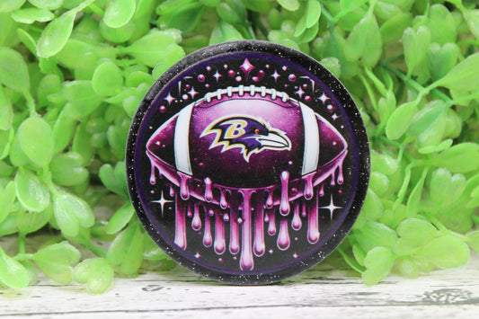 Baltimore Ravens Football Circle Badge Reel