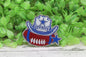 Dallas Cowboys Football with Hat Badge Reel