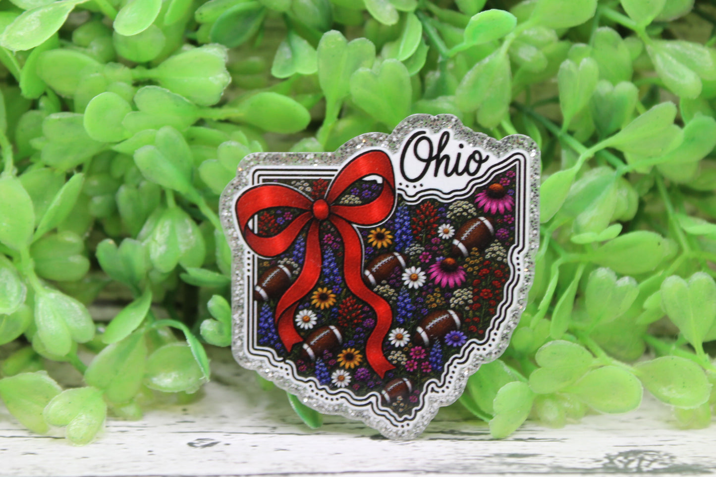 Ohio Football State Badge Reel