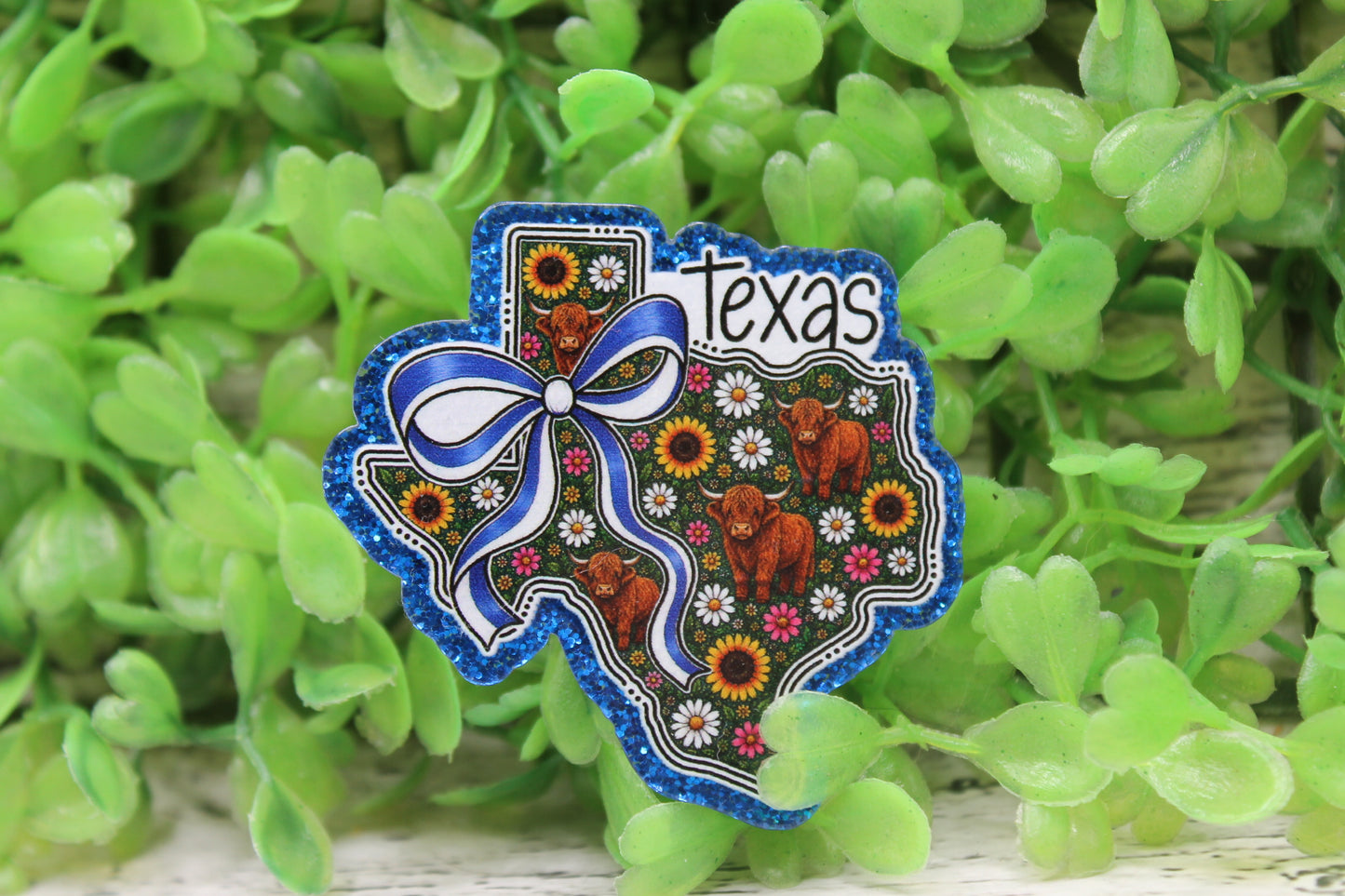 Texas State Badge Reel