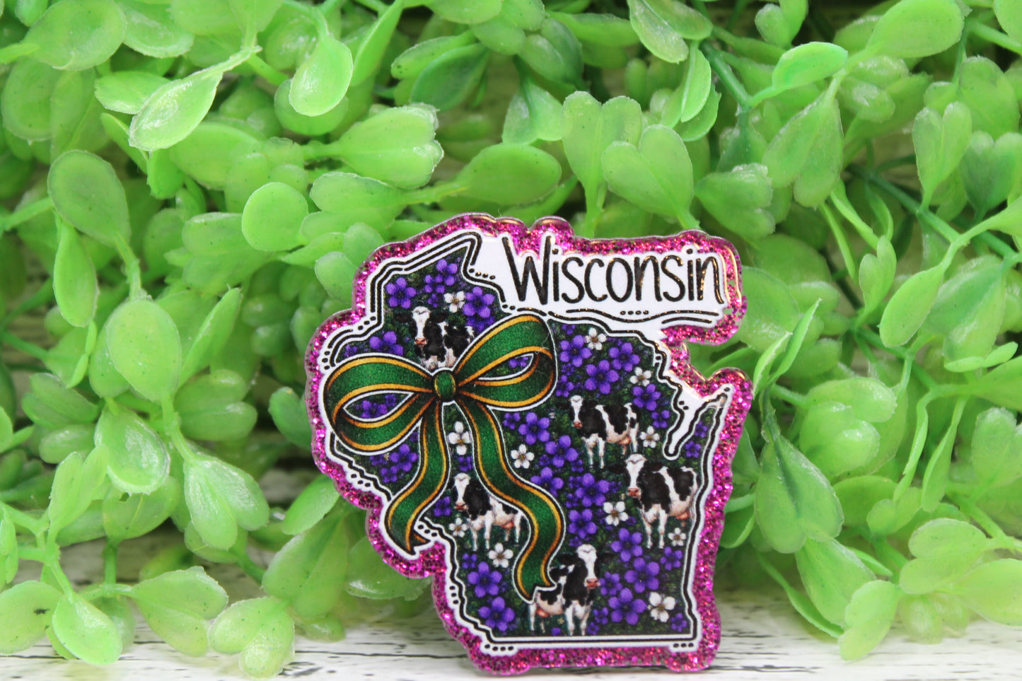 Wisconsin State Badge Reel