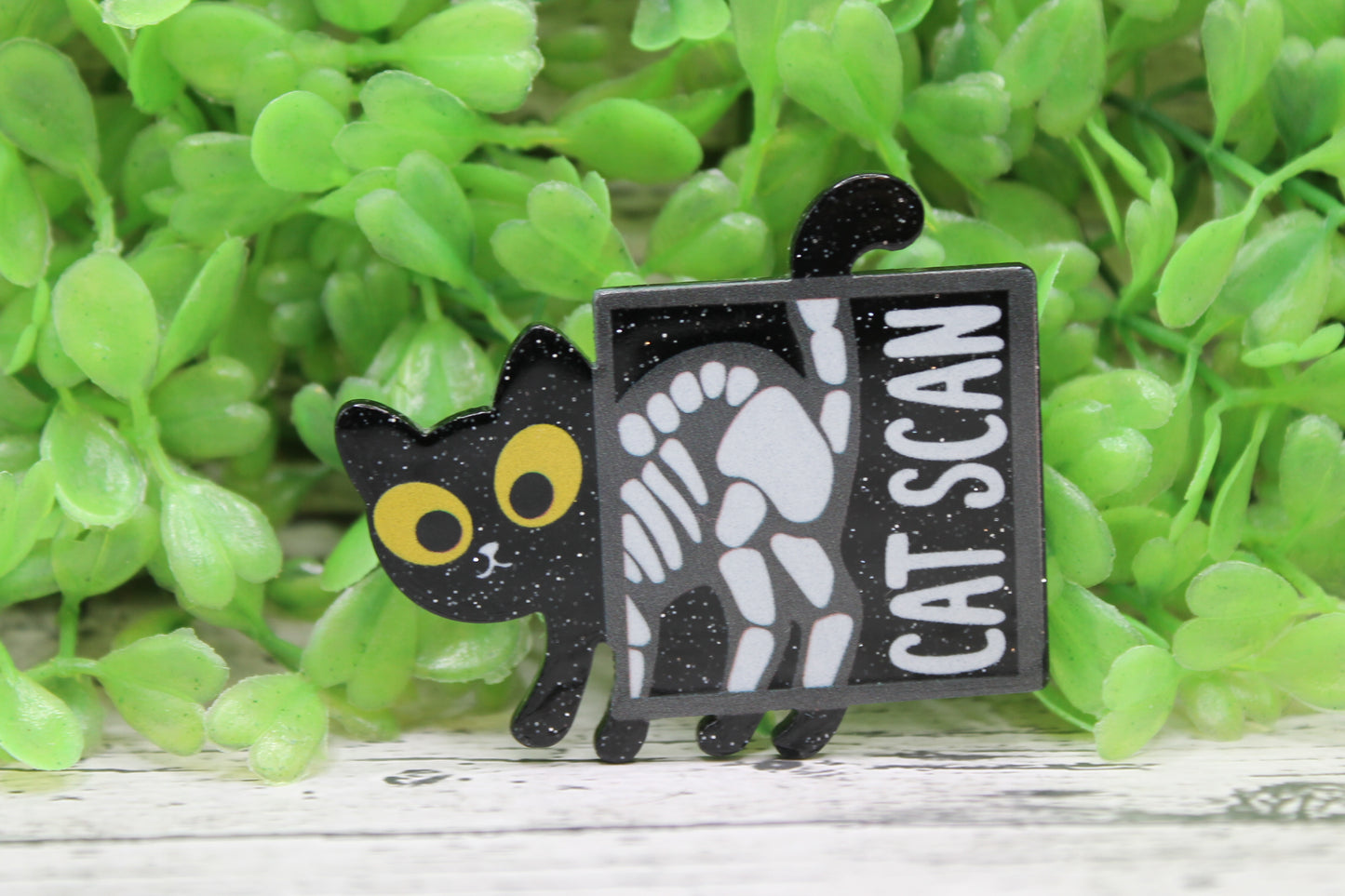 Cat Scan Black Badge Reel