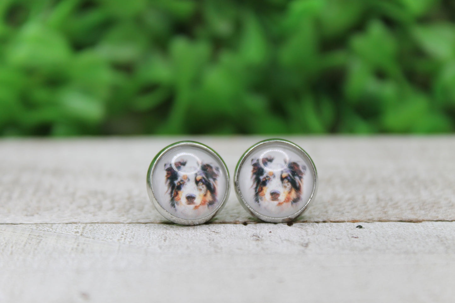 Border Collie 12mm Glass Stud Earrings