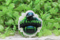 Seahawks Football Helmet & Football Badge Reel