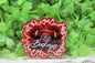 Buckeyes Football Splatter Badge Reel
