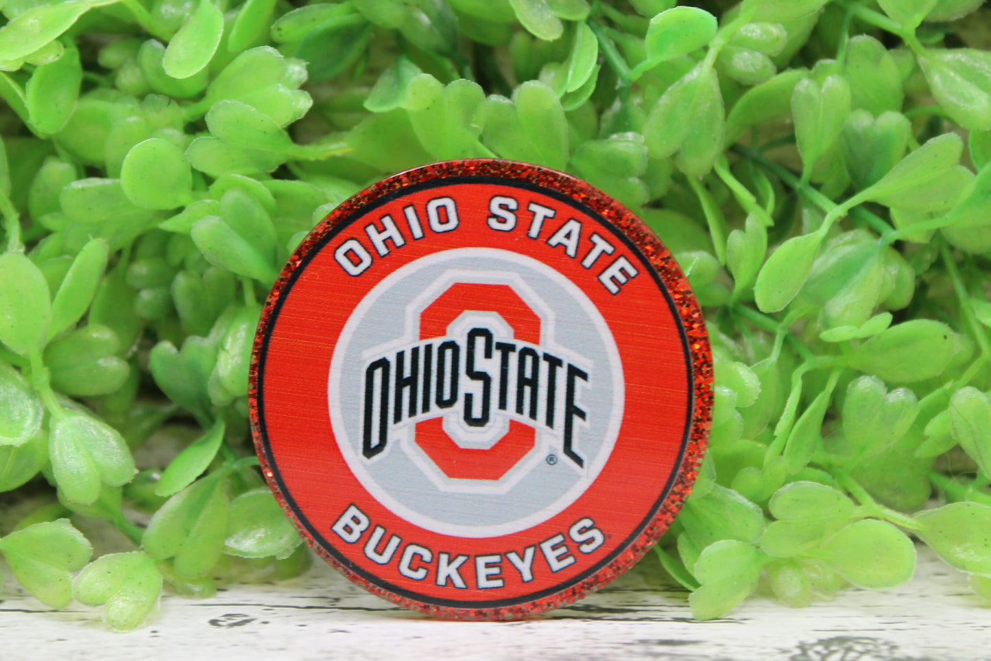 Ohio State Buckeyes Circle Badge Reel
