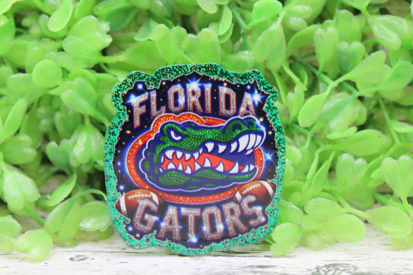 Florida Gators Badge Reel