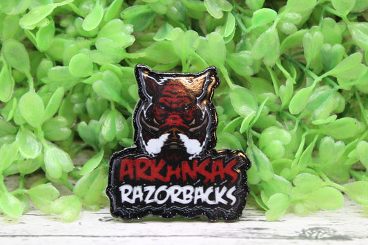 Arkansas Razorbacks Badge Reel