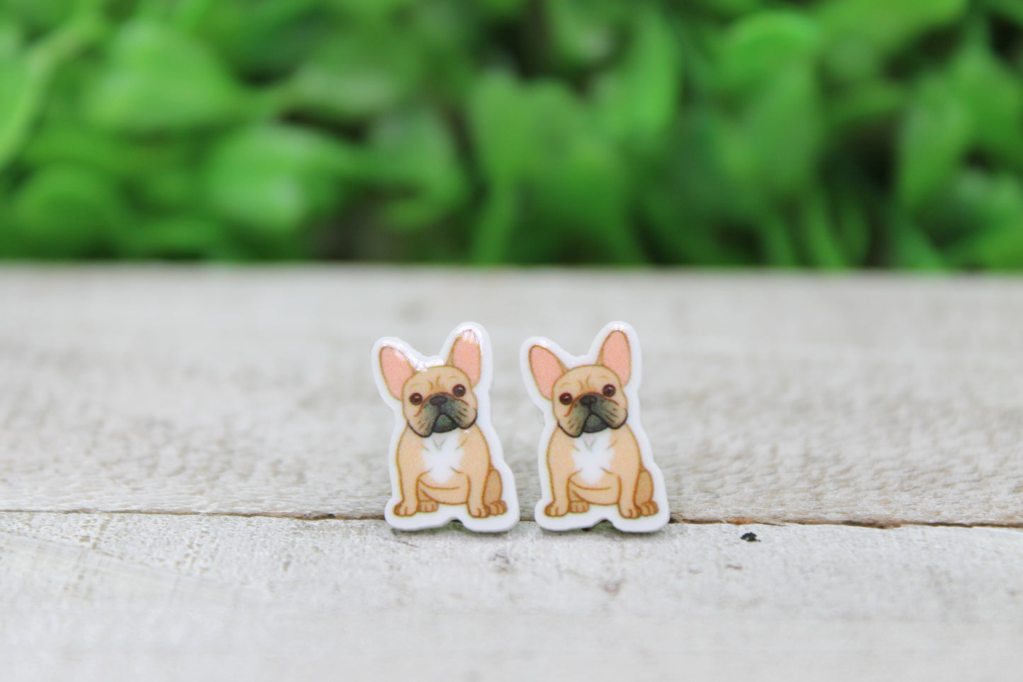 Frenchie Dog Breed  • Acrylic Stud Earrings