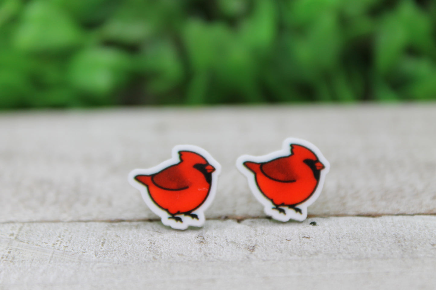 Cardinal • Acrylic Stud Earrings