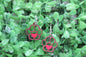 Pawprint with Heart (small) • Wood Dangle Earrings