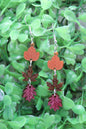 Fall Leaves Trio • Dangle Earrings